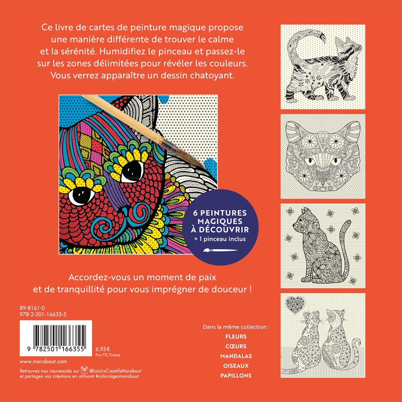 PEINTURE MAGIQUE CHATS -  PEINTURE MAGIQUE - MARABOUT