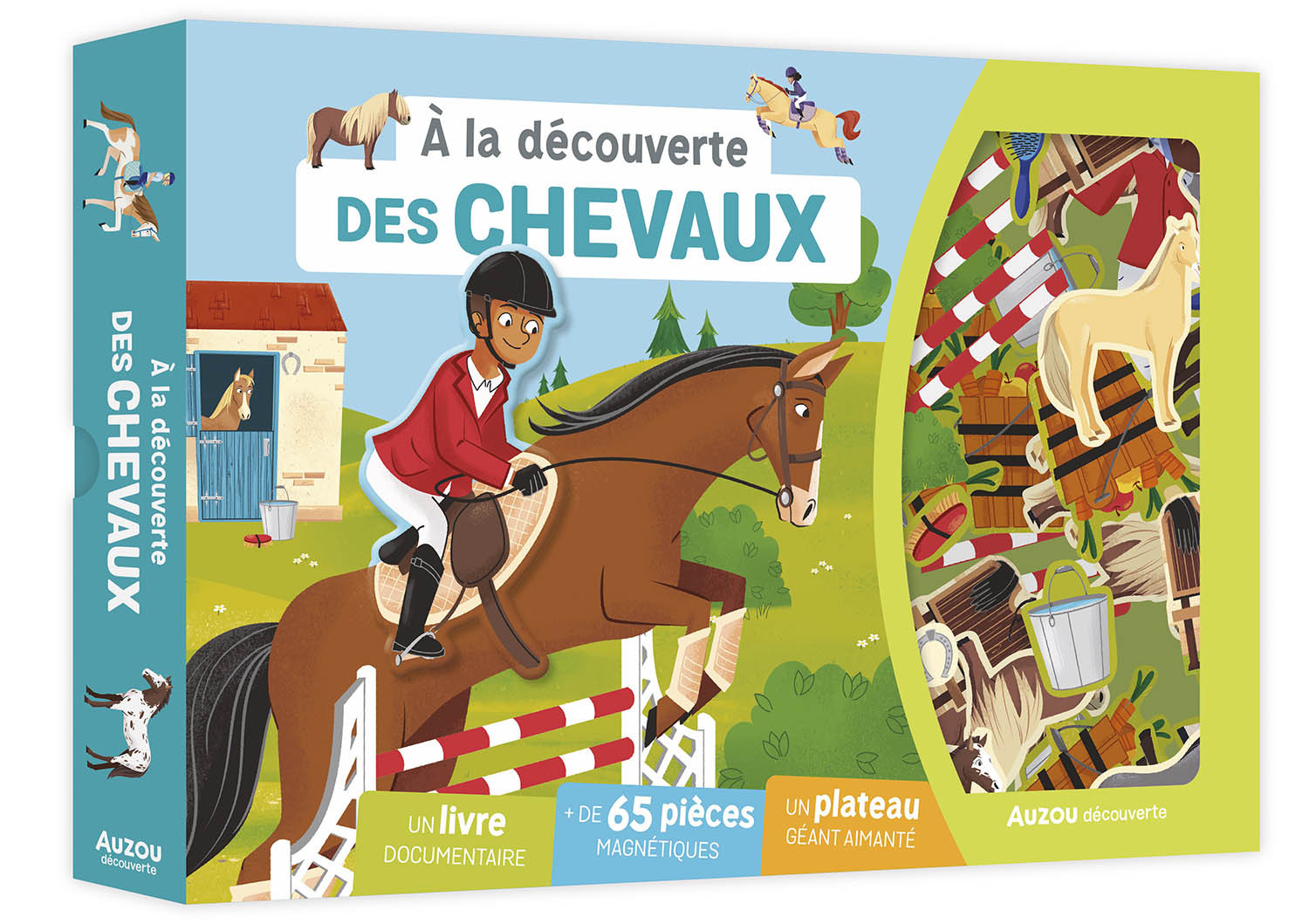 À LA DÉCOUVERTE DES CHEVAUX - Irena AUBERT - AUZOU