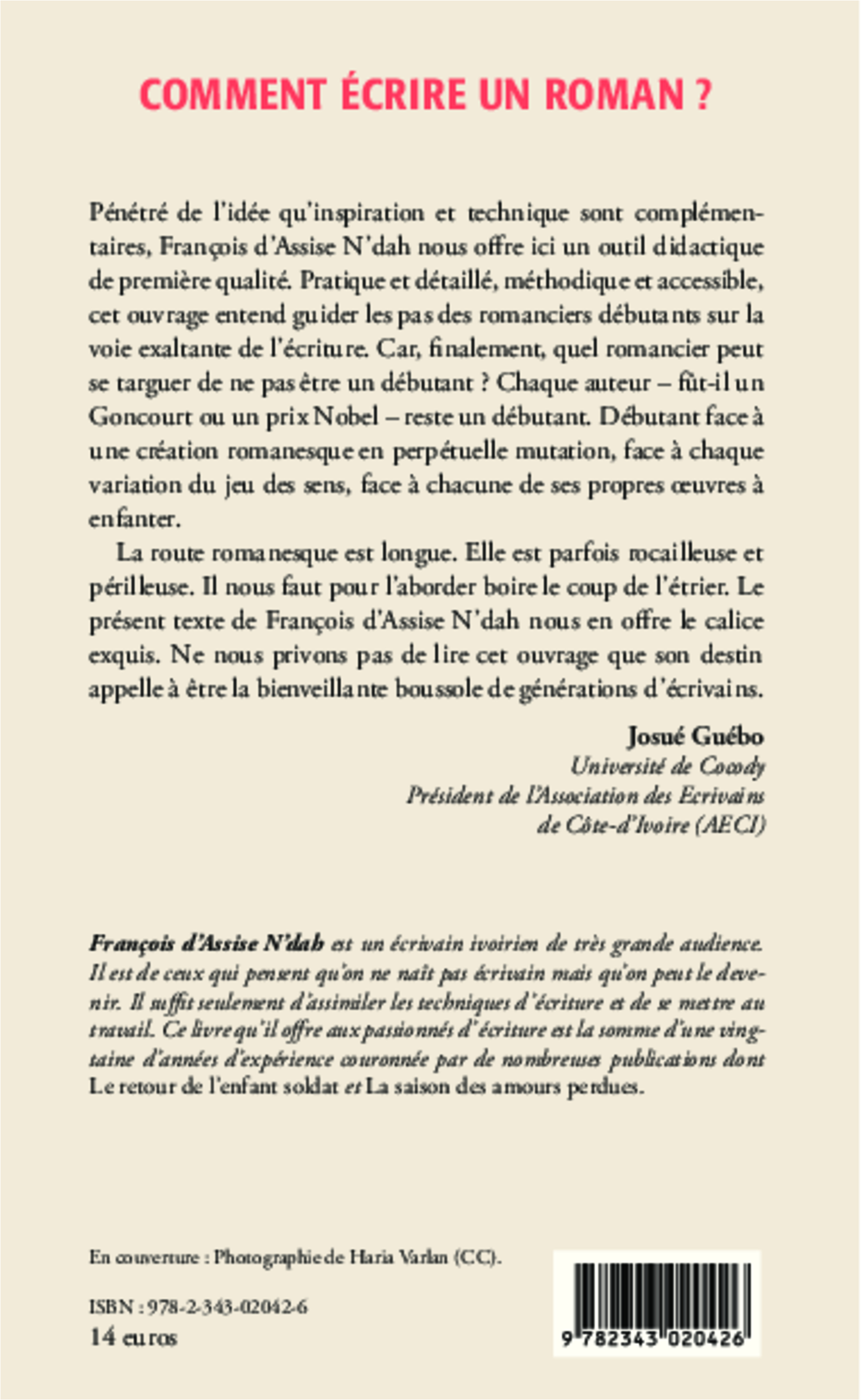 Comment écrire un roman ? - François d'Assise N'dah - L'HARMATTAN