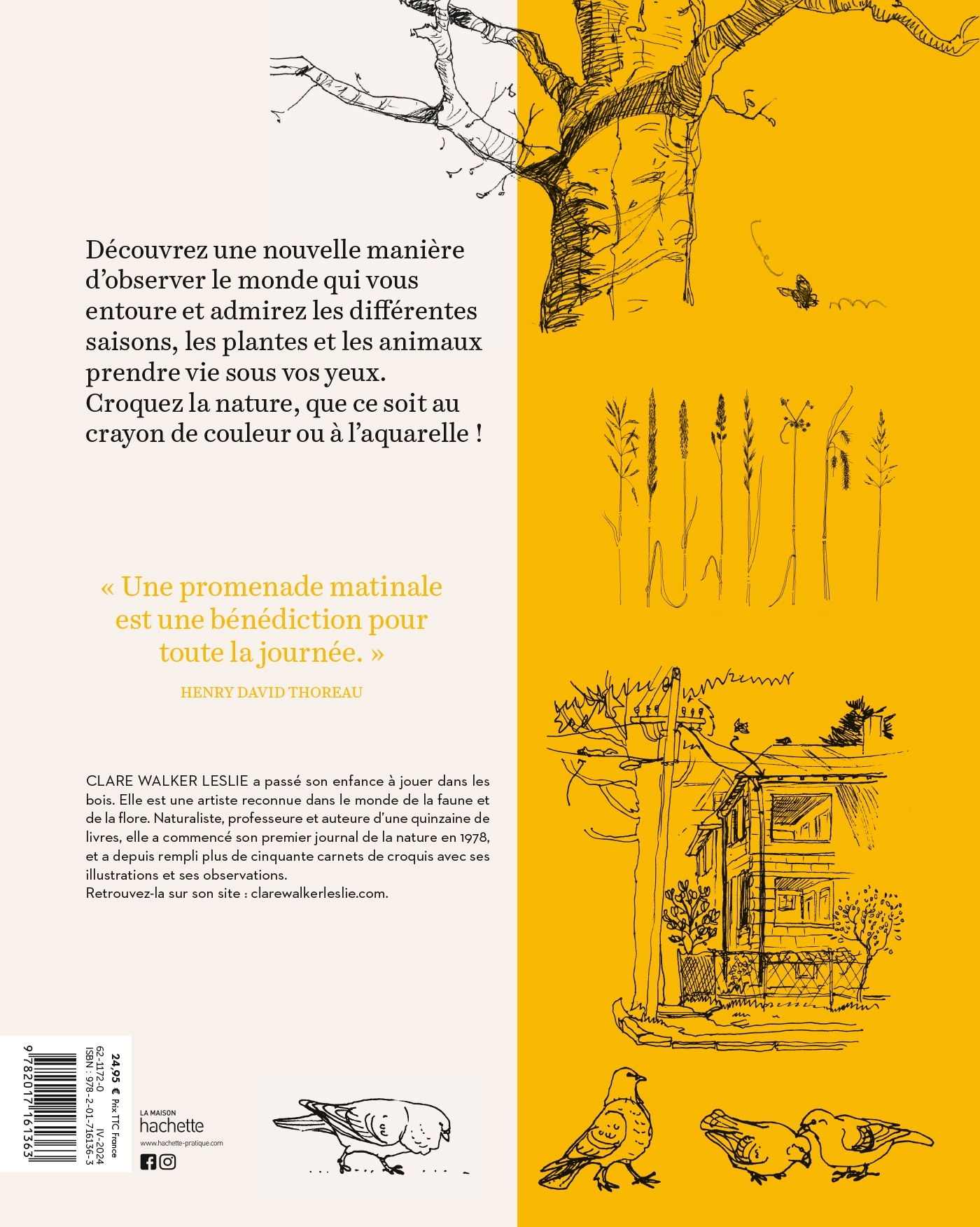 Journal du naturaliste - Clare Walker Leslie - HACHETTE PRAT