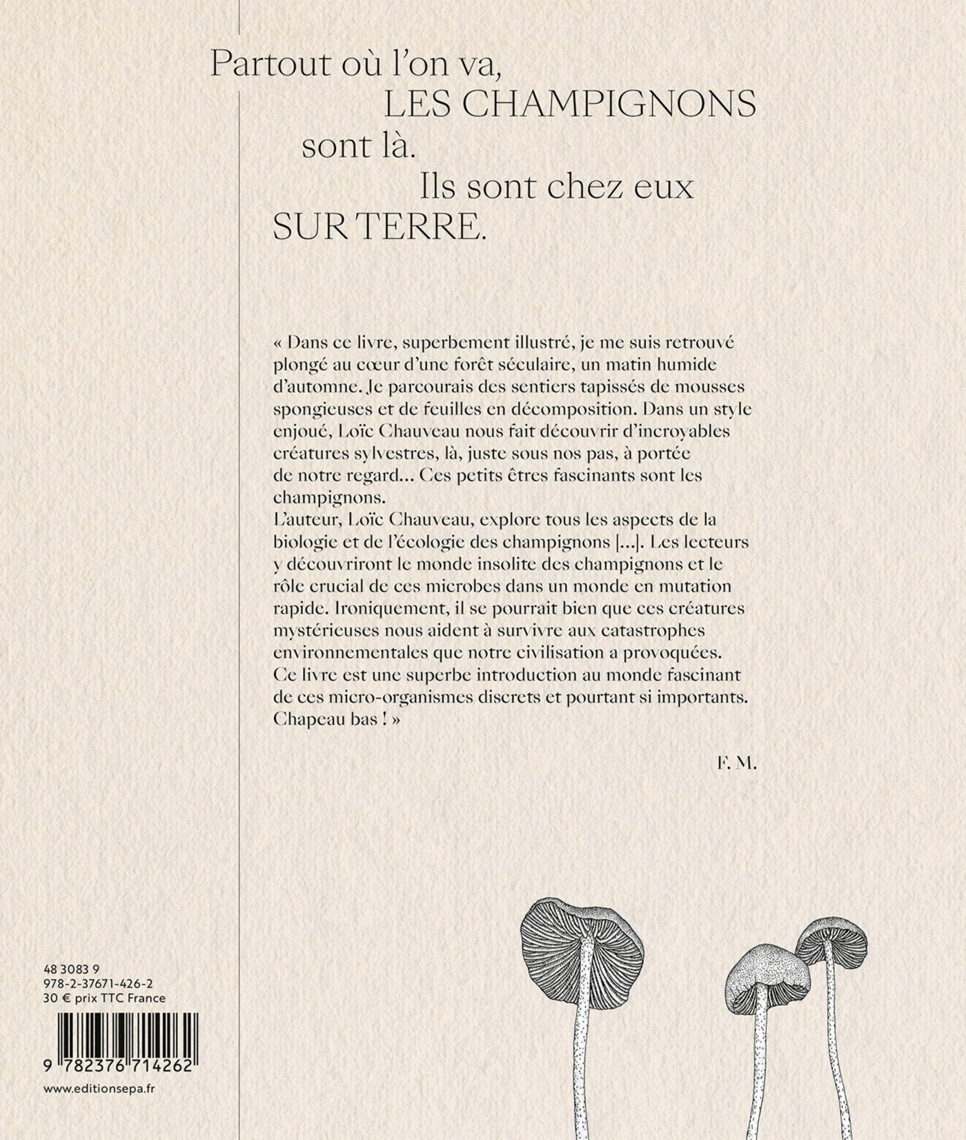 Champignons - Loïc Chauveau - EPA