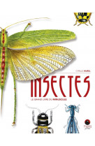 Insectes
