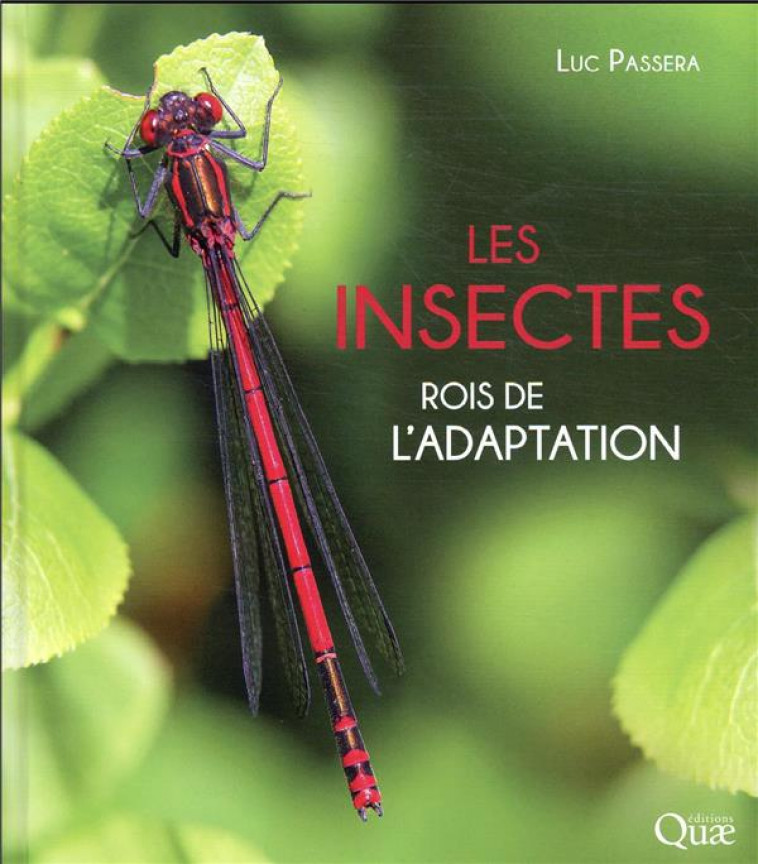 LES INSECTES - ROIS DE L-ADAPTATION - PASSERA LUC - QUAE